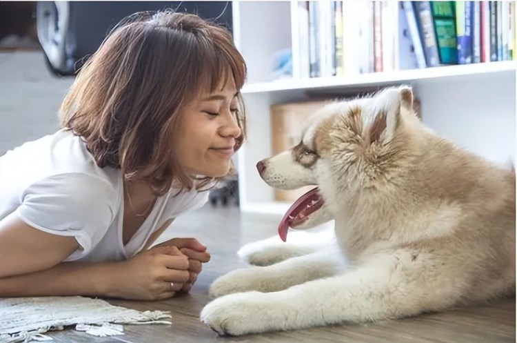 狗治百病难怪钟南山院士也推荐事实证明是真的！