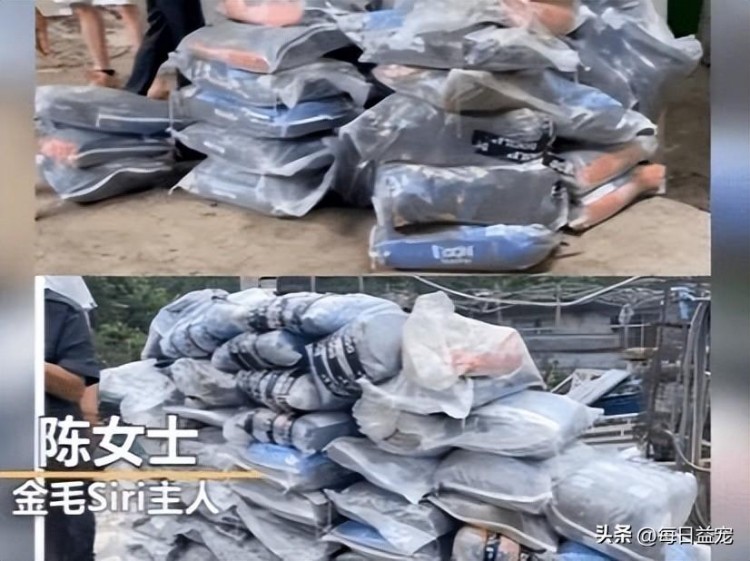 狗狗在托运中离世主人用赔款买了狗粮捐给3家流浪狗基地