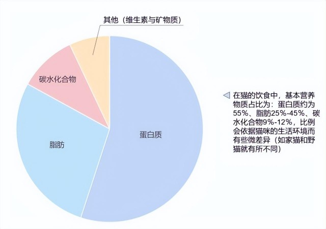 猫咪食物的检查重点选择与保存